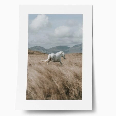 Πόστερ HORSE ON FIELD - Τοπια - Φυση Sticky 1
