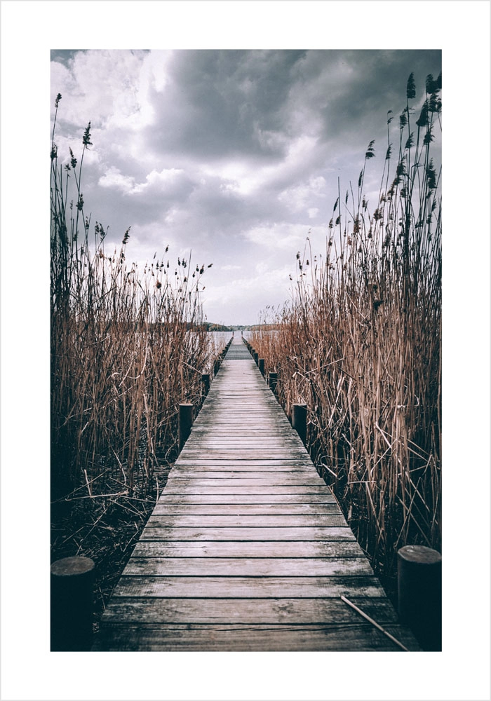 Πόστερ LAKE PATH