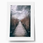 Πόστερ LAKE PATH
