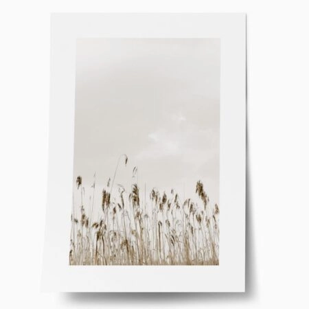 Πόστερ MINIMAL NATURE - Τοπια - Φυση Sticky 1