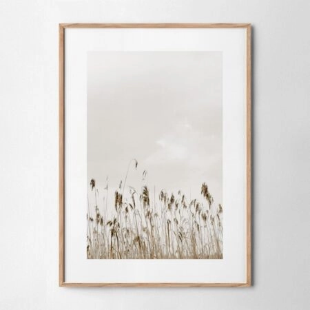 Πόστερ MINIMAL NATURE