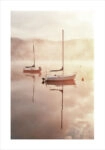 Πόστερ MORNING BOATS