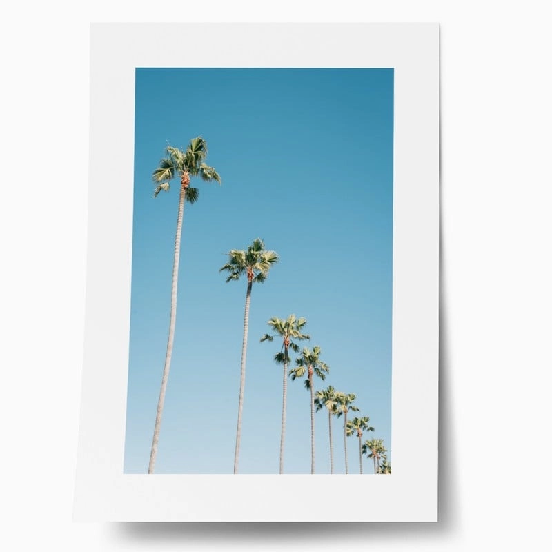 Πόστερ PALM TREES IN BLUE SKY