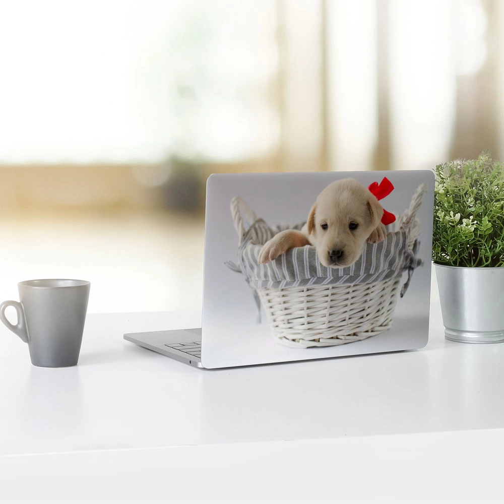 Αυτοκόλλητο Laptop PUPPY