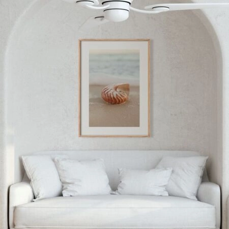Πόστερ SEA SHELL ON SAND