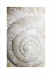 Πόστερ SHELL MACRO