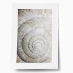 Πόστερ SHELL MACRO