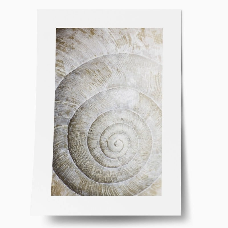 Πόστερ SHELL MACRO