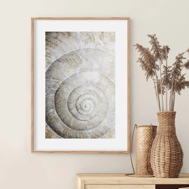 Πόστερ SHELL MACRO