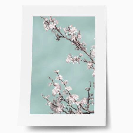 Πόστερ SPRING BLOSSOM CHERRY TREE - Botanical - Λουλούδια Sticky 1