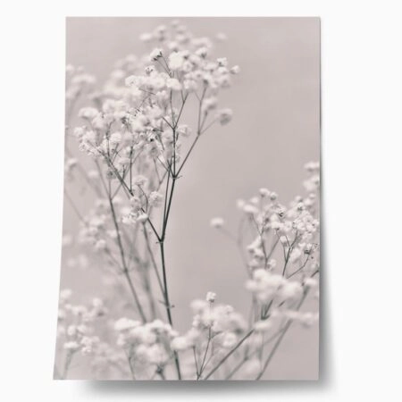 Πόστερ SPRING WHITE FLOWERS - Botanical - Λουλούδια Sticky 1