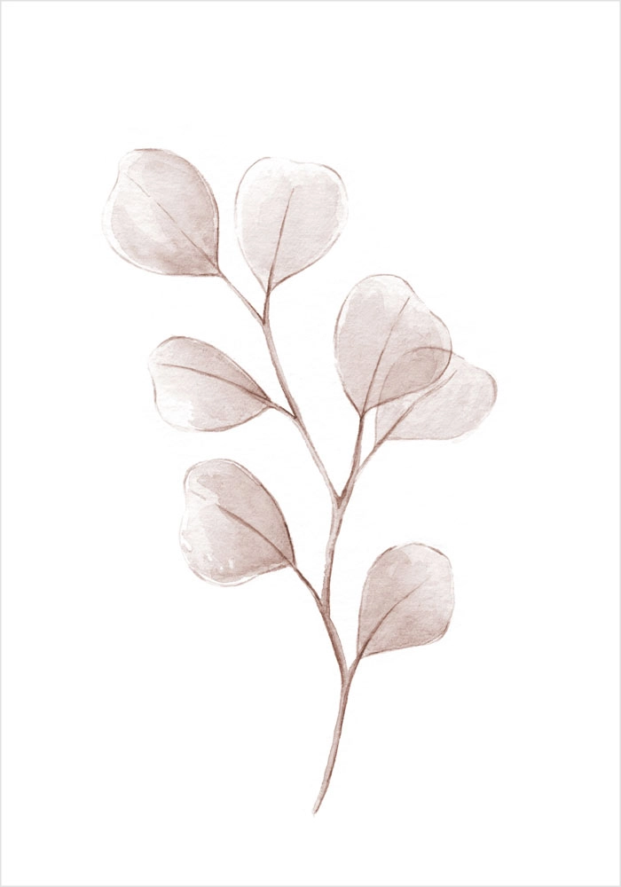 Πόστερ WATERCOLOR EUCALYPTUS LEAVES