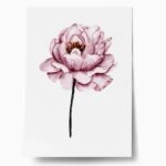Πόστερ WATERCOLOR PEONY