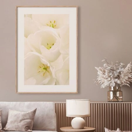 Πόστερ WHITE TULIP FLOWERS