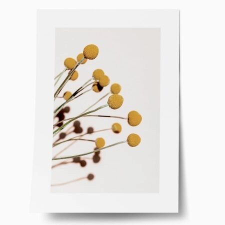 Πόστερ YELLOW DRY FLOWERS - Botanical - Λουλούδια Sticky 1