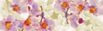 Πίνακας Πανοραμικός σε καμβά FLOWERING ORCHIDS AND CHERRIES