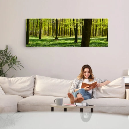 Πίνακας σε καμβά Πανοραμικός FOREST - Δασος