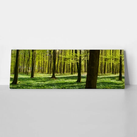 Πίνακας σε καμβά Πανοραμικός FOREST - Δασος Sticky 1