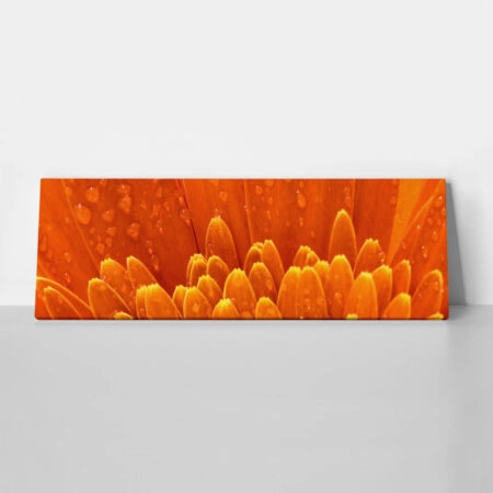 Πίνακας Πανοραμικός ORANGE DAISY - Μαργαριτες Sticky 1