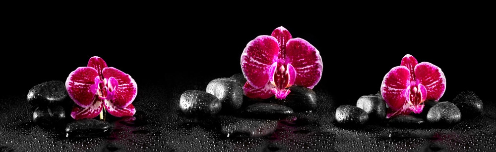 Πίνακας Πανοραμικός PINK ORCHIDS