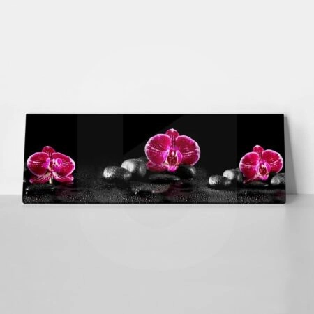 Πίνακας Πανοραμικός PINK ORCHIDS - Ορχιδεες Sticky 1