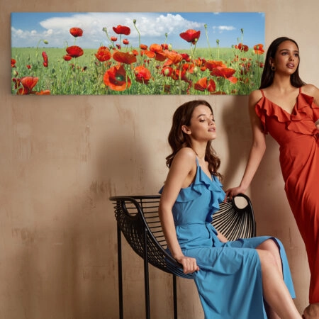 Πίνακας Πανοραμικός σε καμβά POPPIES AND CLOUDS
