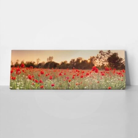 Πίνακας Πανοραμικός σε καμβά RED POPPY FIELD - Παπαρουνες Sticky 1