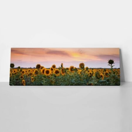 Πίνακας Πανοραμικός SUNFLOWERS SUNSET - Ηλιανθοι Sticky 1