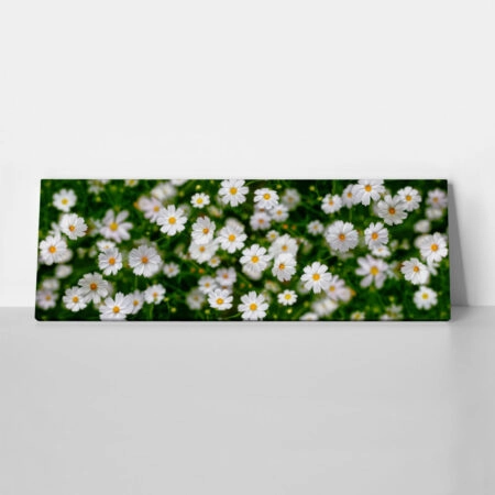 Πίνακας Πανοραμικός WHITE FLOWERS - Μαργαριτες Sticky 1