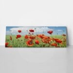 Πίνακας Πανοραμικός σε καμβά POPPIES AND CLOUDS