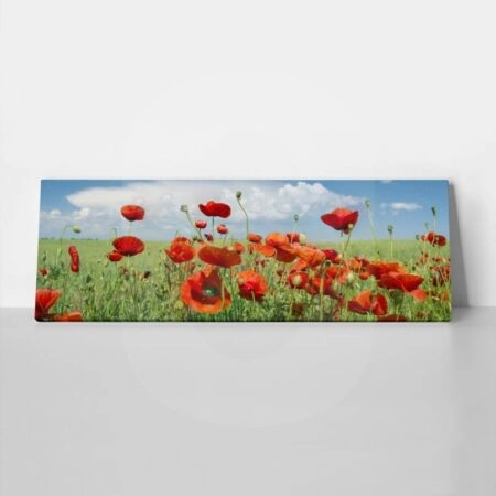 Πίνακας Πανοραμικός σε καμβά POPPIES AND CLOUDS - Παπαρουνες Sticky 1