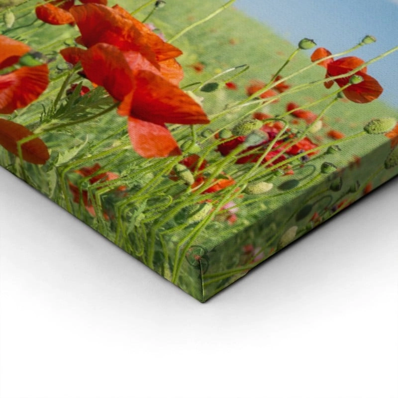 Πίνακας Πανοραμικός σε καμβά POPPIES AND CLOUDS