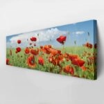 Πίνακας Πανοραμικός σε καμβά POPPIES AND CLOUDS