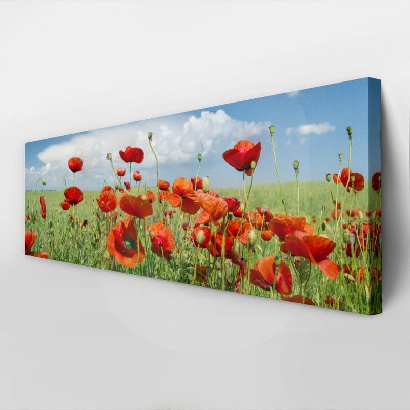 Πίνακας Πανοραμικός σε καμβά POPPIES AND CLOUDS