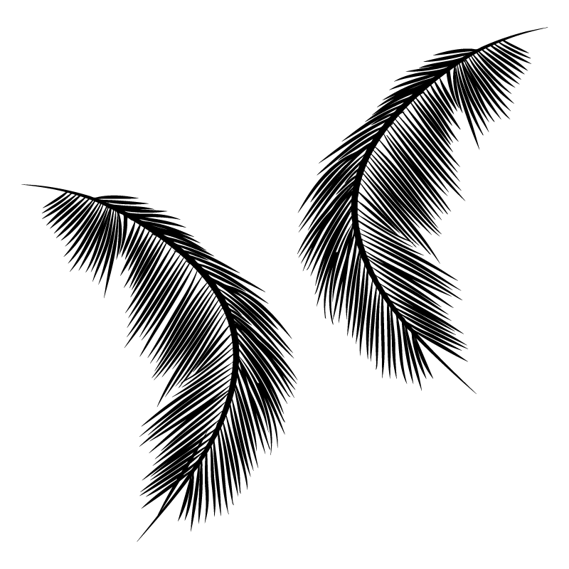 crop image