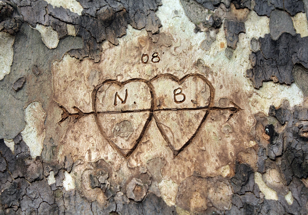Πίνακας σε καμβά WOOD CARVING 2