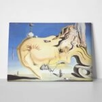Πίνακας σε καμβά DALI - THE GREAT MASTURBATOR