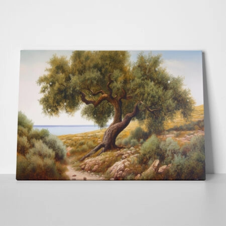 Πινακας σε καμβά OLIVE PATH TO THE SEA - Υπαιθρος Sticky 1