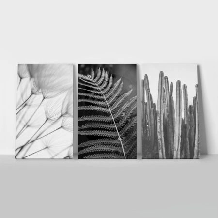 Σετ Τριπτυχος Πινακας σε καμβά BLACK AND WHITE ABSTRACT CONCEPT - Botanical - Φυτα Sticky 1