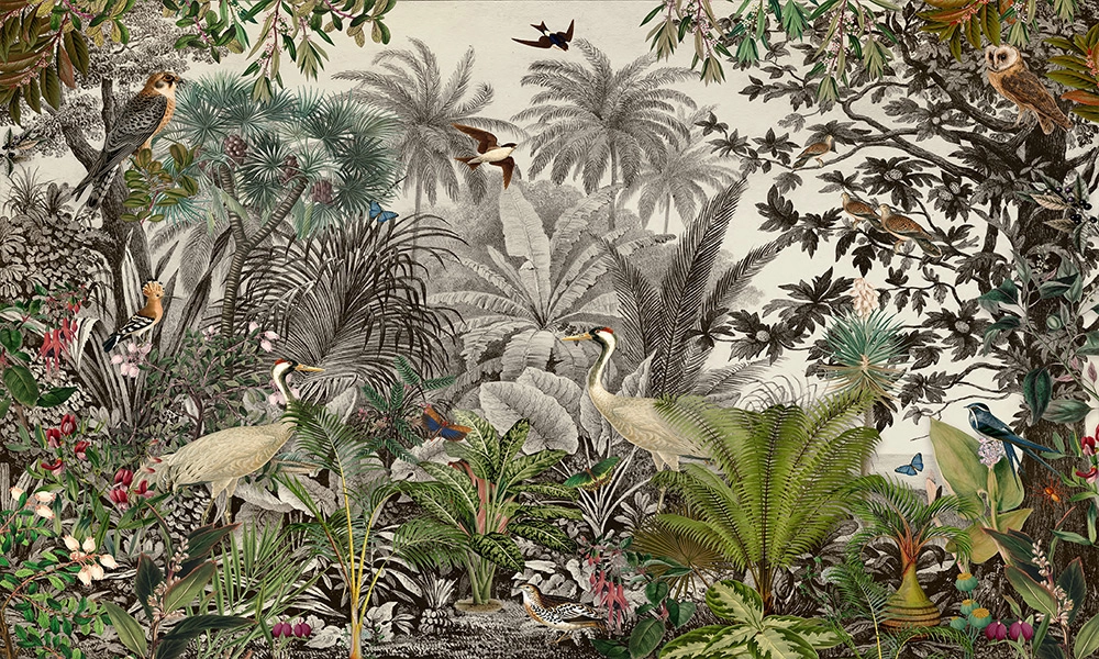 crop image