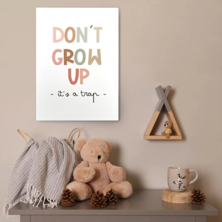 Πινακας σε καμβά DONT GROW UP