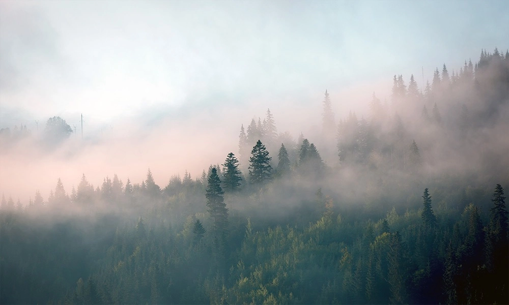 crop image