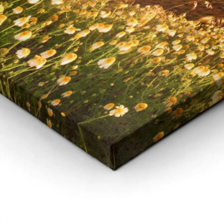 Πινακας σε καμβά SANTORINI WILDFLOWERS - Νησια Sticky 1