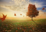 Πινακας σε καμβά RED MAPLE TREE IN AUTUMN