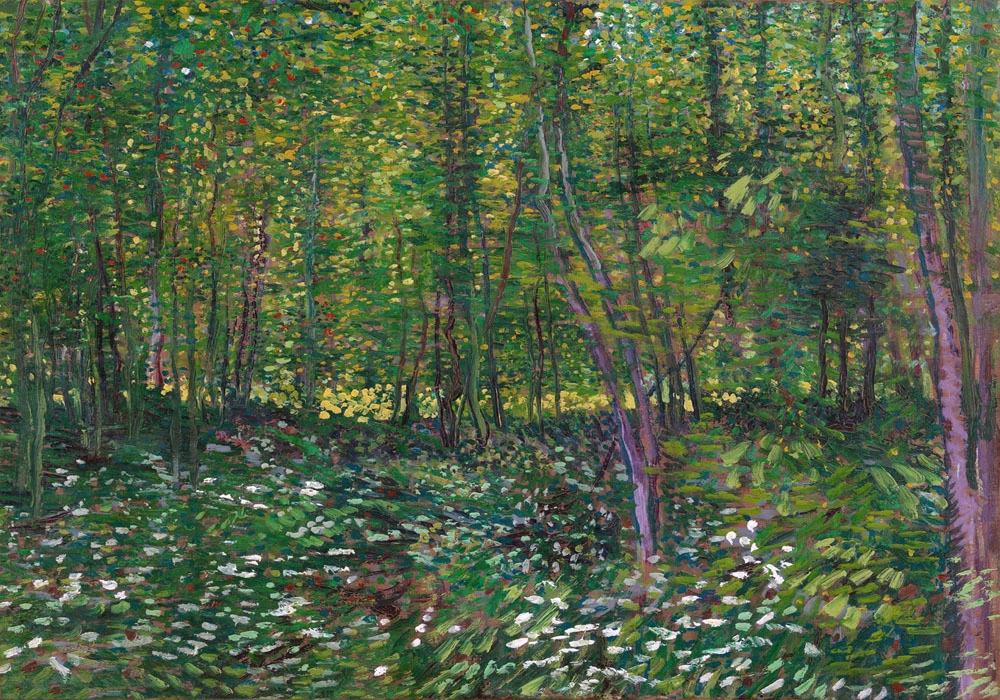 Πινακας σε καμβά VAN GOGH - TREES AND UNDERGROWTH