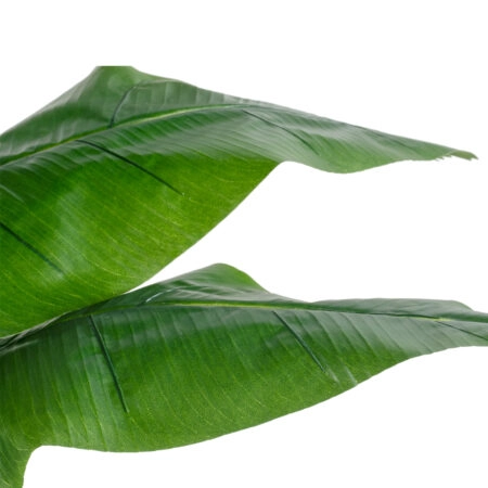 BANANA STRELITZIA REGINAE 20381 - Τεχνητό Διακοσμητικό Φυτό  Μπανανιά - Στρελίτσια - Πουλί του Παραδείσου Υ230cm - Τεχνητες Στρελιτσιες (Πουλι παραδεισου) Sticky 1
