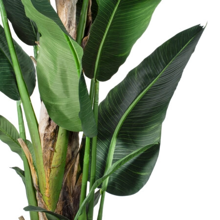 BANANA TREE 20382 - Τεχνητό Διακοσμητικό Φυτό  Μπανανιά Υ300cm - Τεχνητες Μπανανιες Sticky 1