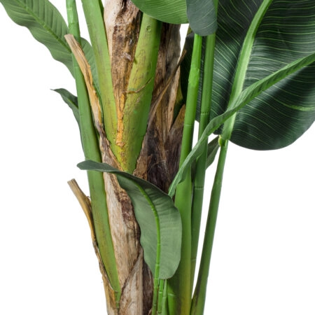 BANANA TREE 20382 - Τεχνητό Διακοσμητικό Φυτό  Μπανανιά Υ300cm - Τεχνητες Μπανανιες Sticky 3