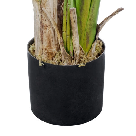 BANANA TREE 20382 - Τεχνητό Διακοσμητικό Φυτό  Μπανανιά Υ300cm - Τεχνητες Μπανανιες Sticky 4