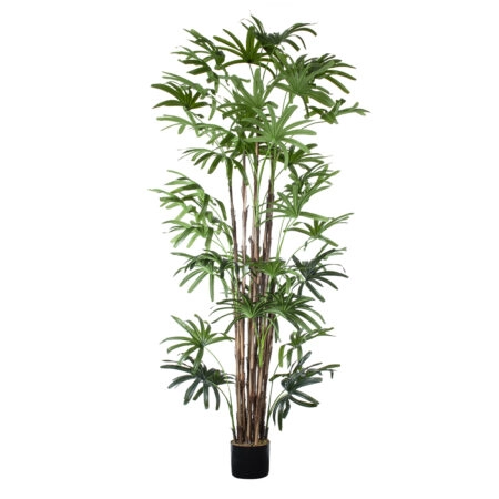 BROADLEAF LADY PALM TREE 20384 Τεχνητό Διακοσμητικό Φυτό Πλατύφυλλος Φοίνικας Μπαμπού Υ300cm - Τεχνητα Μπαμπου